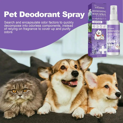 Lavender Oil Dog Deodorizer Spray FREE Shipping