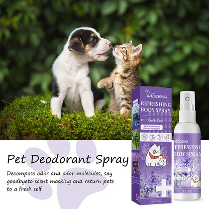 Lavender Oil Dog Deodorizer Spray FREE Shipping