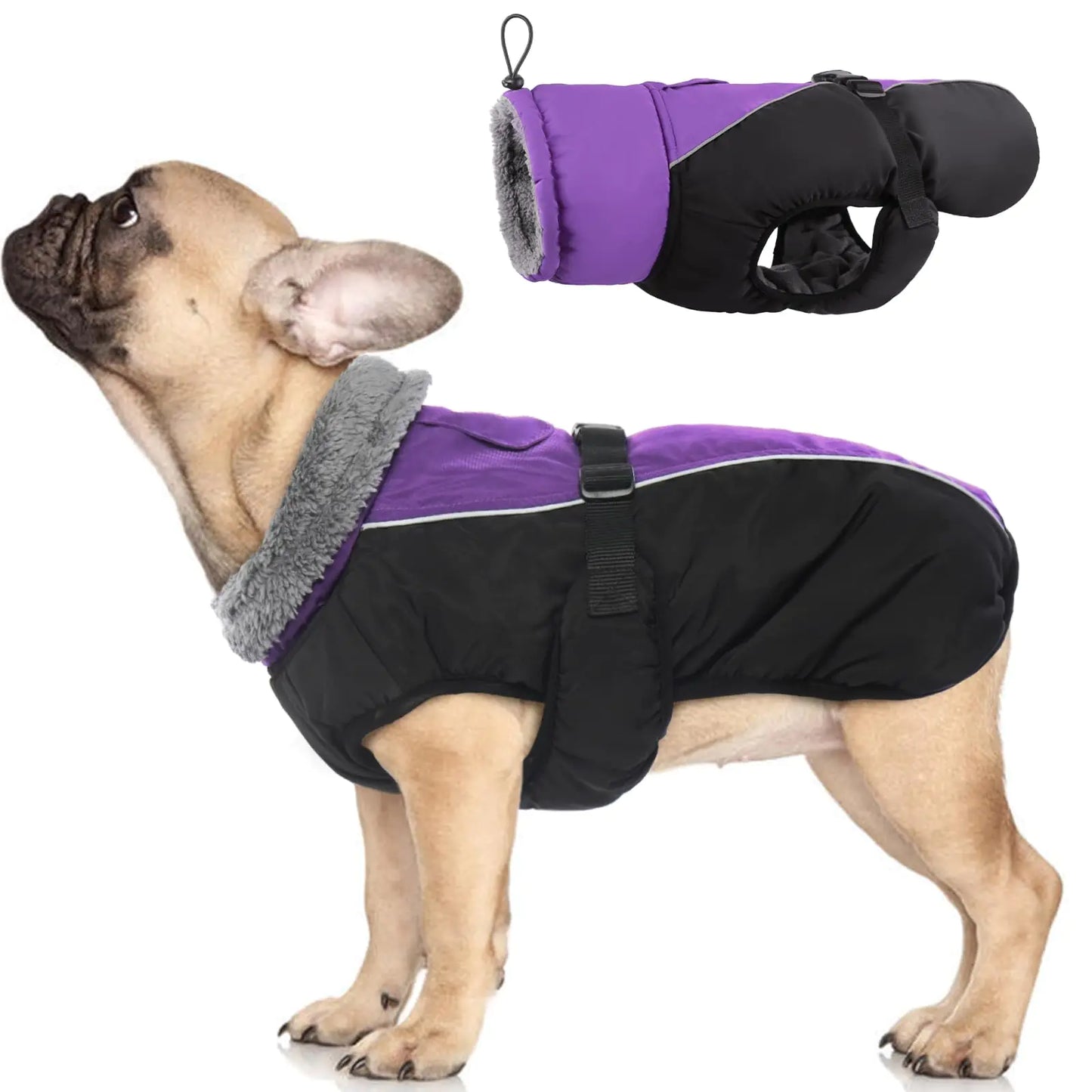 FrostGuard High Collar Dog Coat