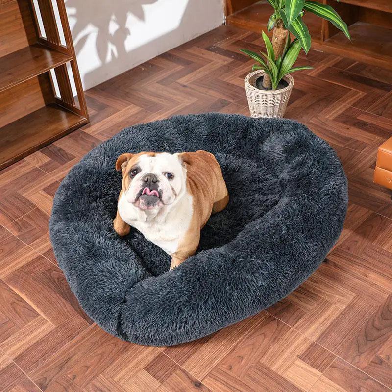 Comfy Calming Dog Bed